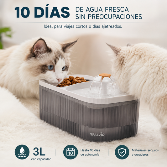 Comedero y bebedero de mascotas con fuente