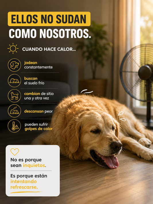 Alfombra refrescante